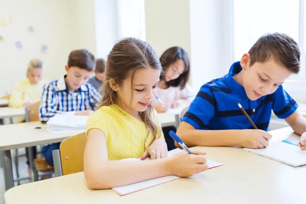 504 for Executive Functioning: Helping Your Child Succeed in School