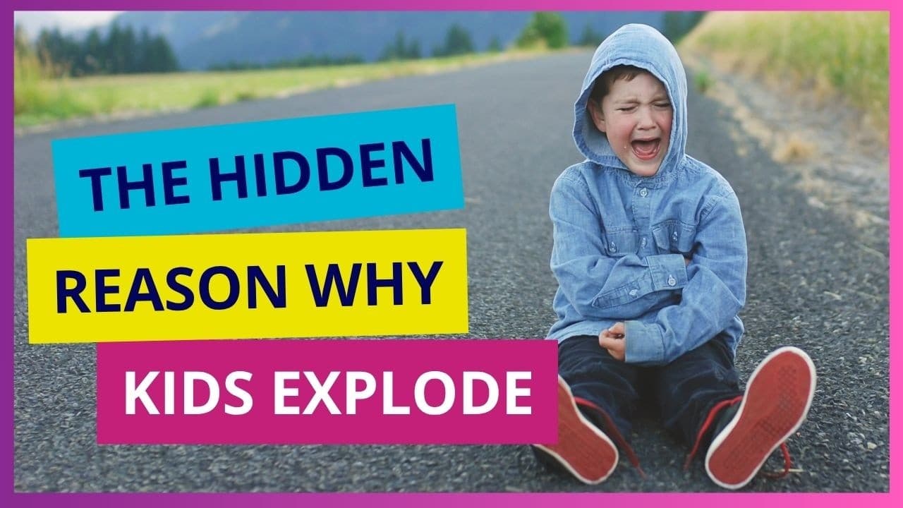 Why Does My Child Melt Down Over Everything? | Regulation First Parenting® | E430