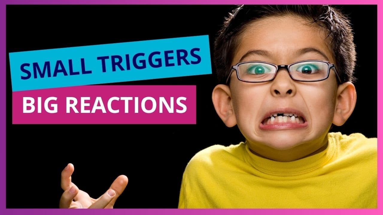 Why Little Triggers Lead to Big Reactions in Your Child | Nervous System Regulation | E425