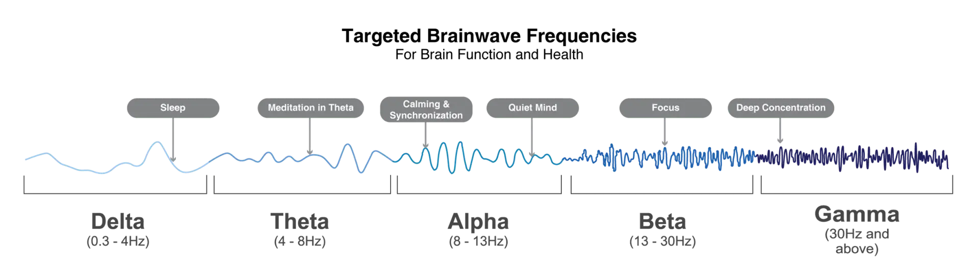 Targeted Brainwave Frequencies diagram showing Delta, Theta, Alpha, Beta, Gamma bands