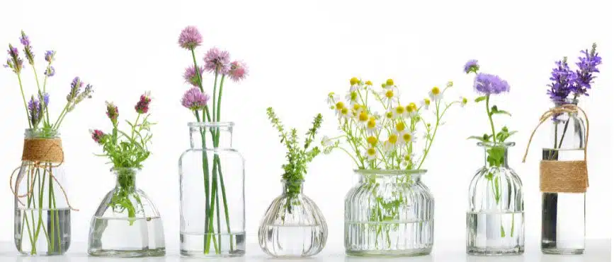 essential oils - Dr. Roseann
