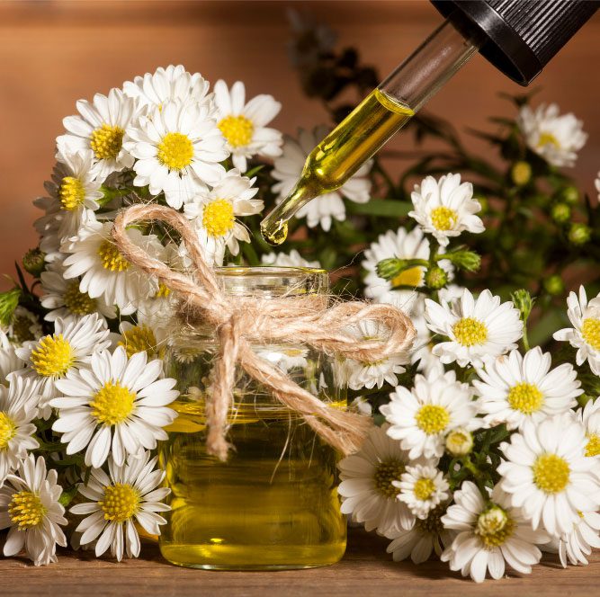 essential oils and flowers - Dr. Roseann
