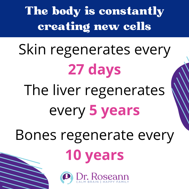 The body is constantly creating new cells