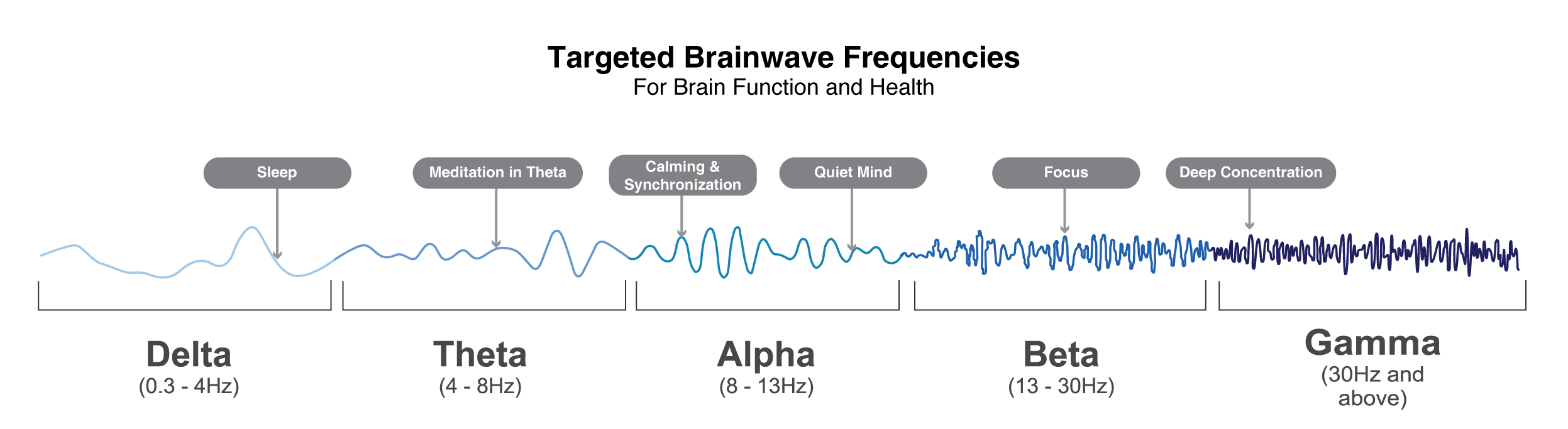 A diagram displaying various sound wave types.