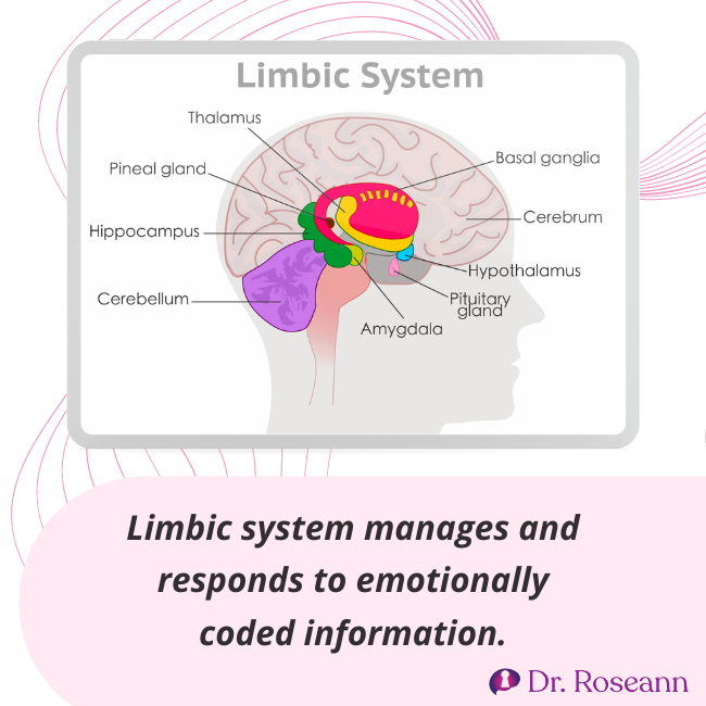 Parts of Limbic System