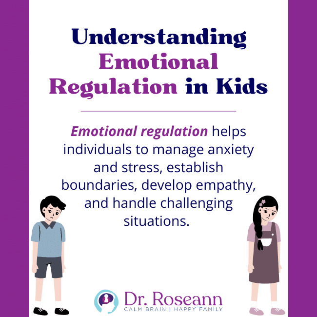 understanding emotional regulation in kids