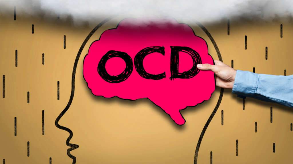 BLOG The OCD Brain The Biology of OCD