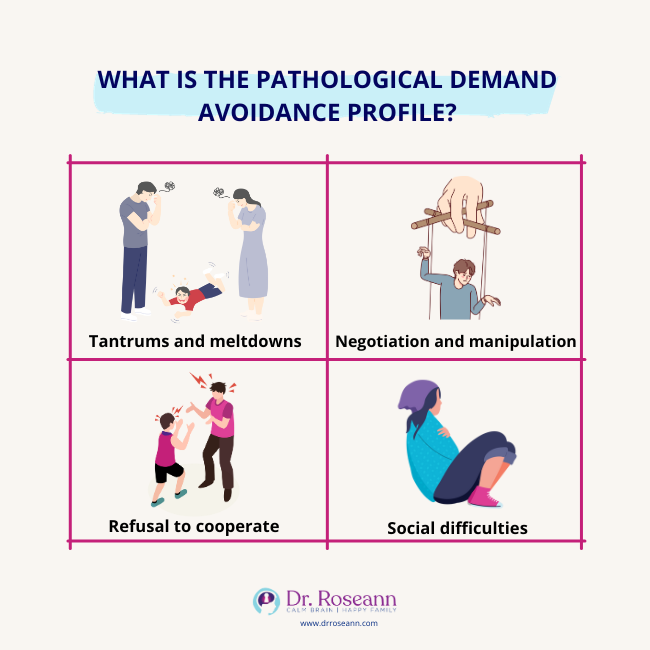 What is the Pathological Demand Avoidance Profile