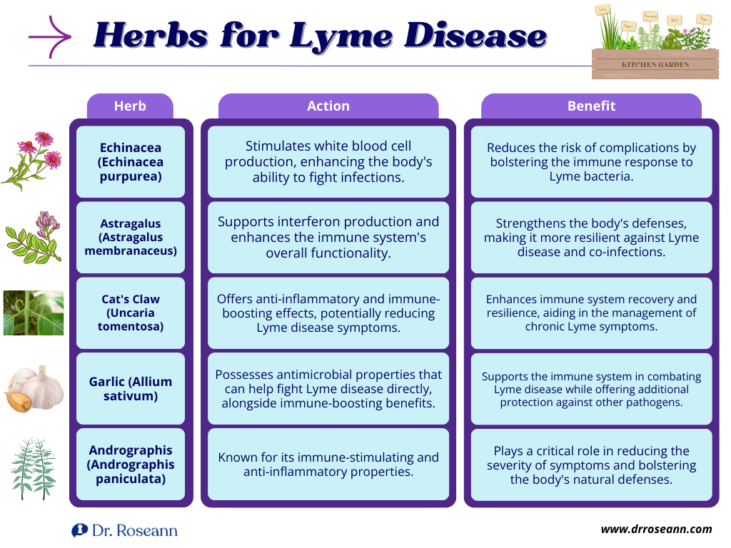 Herbal treatment for lyme