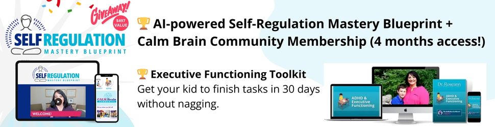 Self Regulation Mastery Blueprint
