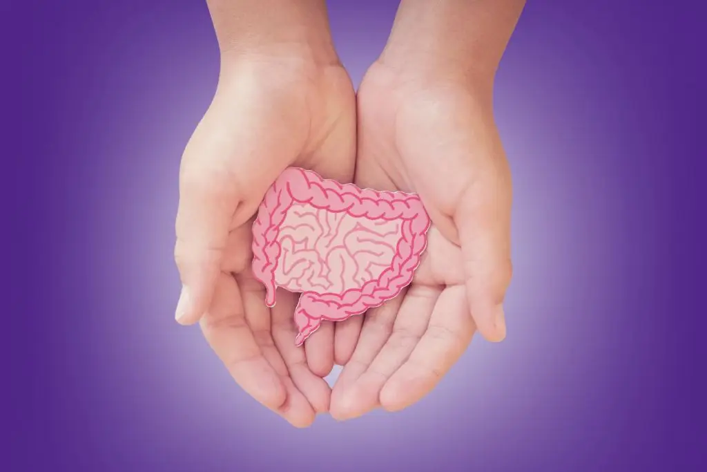 A hand gently holding an illustration of a gut, symbolizing the connection between physical health and mental well-being, emphasizing the importance of gut health in overall wellness.