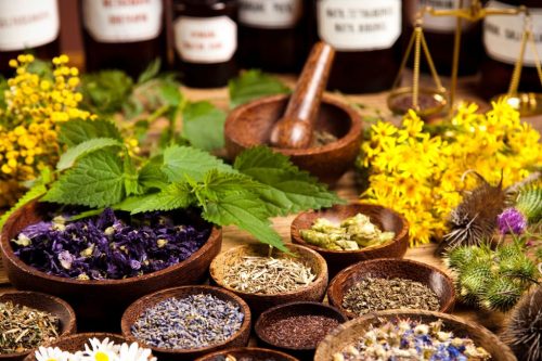 Adaptogenic Herbs for Stress Helping Your Child (and You) Reset Naturally