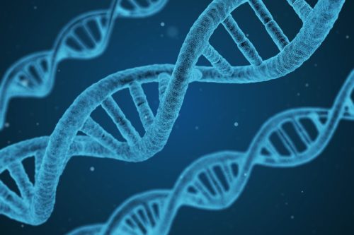 Is It in Their DNA Understanding the Genetic Causes of Dysregulation in Kids