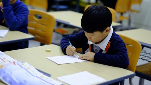 Debunking the l tyrosine adderall substitute claim for ADHD. Discover if L-Tyrosine truly helps focus, its risks, and real solutions.