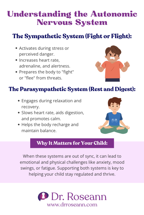 Infographic explaining the autonomic nervous system, including the sympathetic (fight or flight) and parasympathetic (rest and digest) systems, and their impact on emotional and physical health.