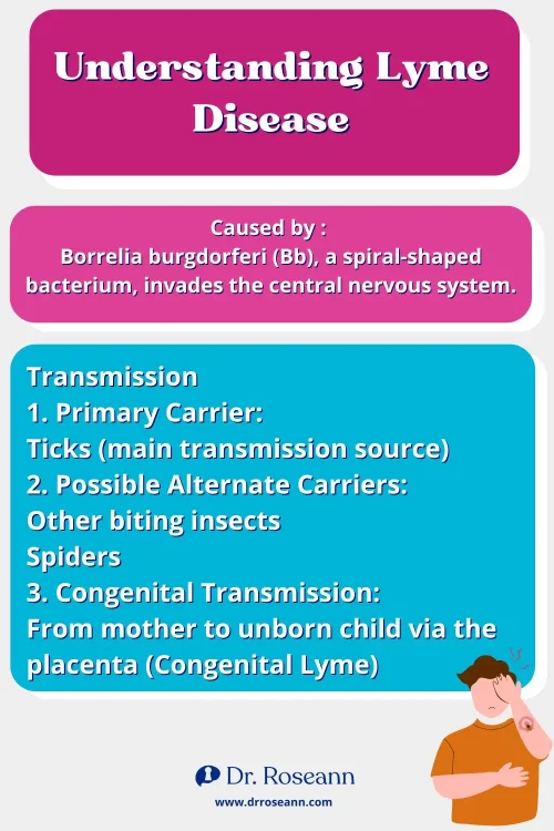 Understanding Lyme Disease Caused by Borrelia burgdorferi (Bb), a spiral-shaped bacterium, invades the central nervous system Transmission Primary Carrier Ticks (main transmission source) Possible