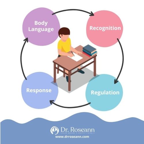 Infographic illustrating the cycle of a dysregulated child's body language, including recognition, regulation, and response.