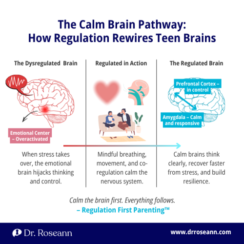 An infographic illustrating the "Calm Brain Pathway," showing how mindfulness and co-regulation move a teen's brain from a dysregulated, overactivated emotional center to a regulated state with the Prefrontal Cortex in control, helping overcome emotional disturbance.