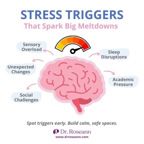 Can Stress Cause a Dysregulated Nervous System? An illustration showing how stress triggers like sensory overload, sleep disruptions, academic pressure, social challenges, and unexpected changes can lead to a dysregulated nervous system and cause meltdowns.