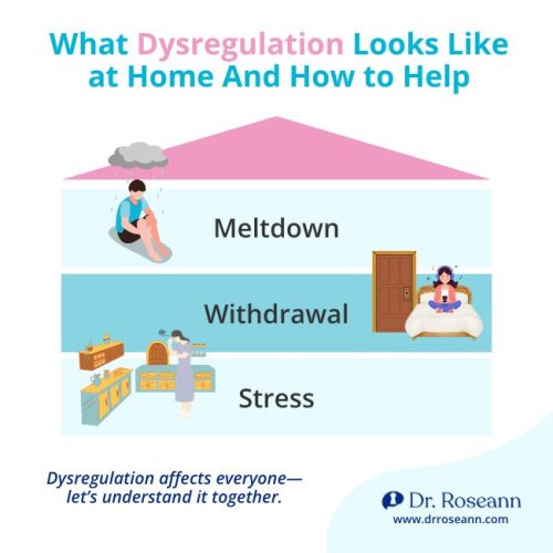 An infographic illustrating dysregulation as stress, withdrawal, and meltdown, offering insights for supporting siblings affected by these behaviors at home.