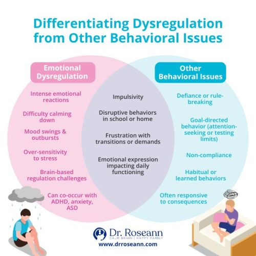 A Venn diagram differentiating emotional dysregulation from other behavioral issues, focusing on dysregulation vs other behavioral issues.