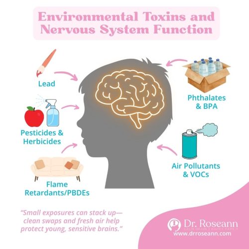 Environmental Toxins and Nervous System Dysregulation An illustration showing how environmental toxins and pollutants like lead, phthalates, BPA, air pollutants, VOCs, pesticides, herbicides, and flame retardants can affect a child's brain and nervous system, causing dysregulation.