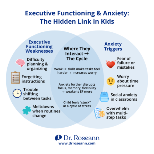 A Venn diagram showing the link between executive functioning and anxiety in kids, including shared symptoms like overwhelm and difficulty with tasks.