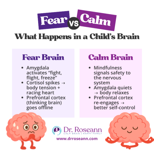 Infographic comparing the "Fear Brain" and "Calm Brain" in a child, showing neurological responses to stress versus mindfulness, and explaining how to improve your child’s mood by fostering calm.