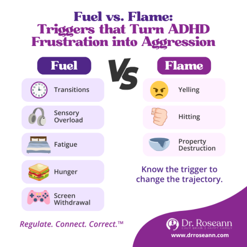 Infographic comparing the "Fuel" (Triggers: Transitions, Sensory Overload, Fatigue, Hunger, Screen Withdrawal) versus the "Flame" (Aggression: Yelling, Hitting, Property Destruction) in ADHD and aggressive behavior.