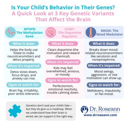 Infographic on three genetic variants (MTHFR, COMT, MAOA) and how they can be biological causes of dysregulation in children's behavior.