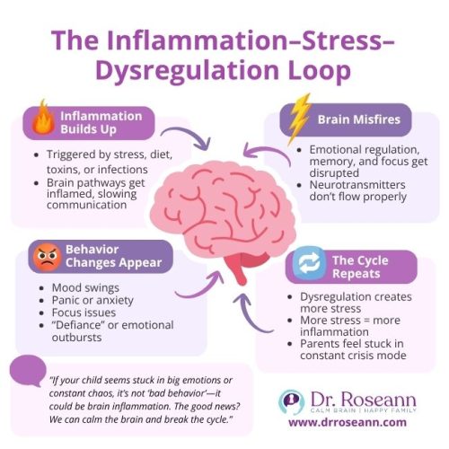 Infographic illustrating the inflammation-stress-dysregulation loop, a biological cause of dysregulation where inflammation leads to brain misfires and behavioral changes in children.