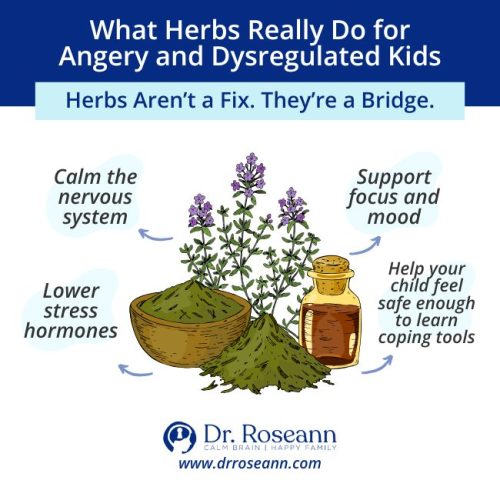 An infographic about Holy Basil, one of the herbs for anger, highlighting its benefits for soothing the nervous system, reducing stress, and managing overwhelm and meltdowns.