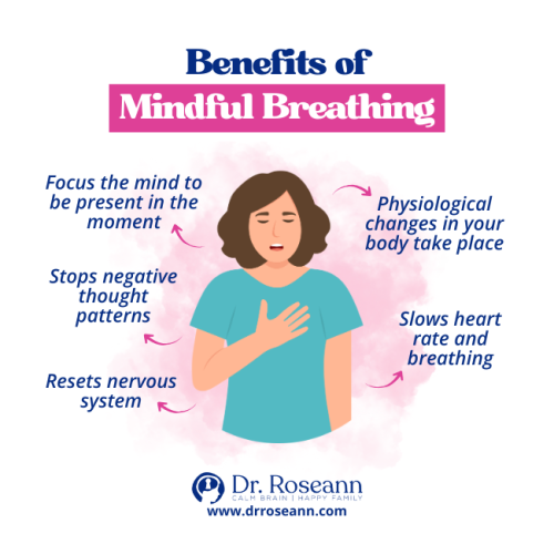 Infographic showing the benefits of mindful breathing, which include resetting the nervous system and slowing heart rate to help manage emotional disturbance.