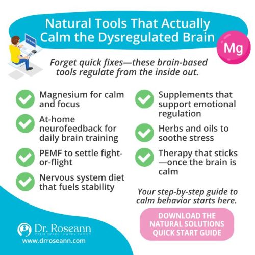 An infographic listing natural tools that calm a dysregulated brain, showcasing a holistic approach to mental health with options like magnesium, supplements, herbs, and neurofeedback