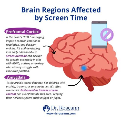 Brain Regions Affected by Screen Time and Mental Health in Children Diagram showing how screen time affects the prefrontal cortex and amygdala, linking screen time and mental health in children.